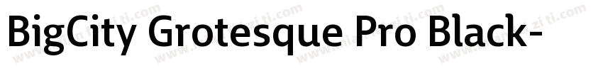 BigCity Grotesque Pro Black字体转换